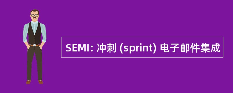 SEMI: 冲刺 (sprint) 电子邮件集成