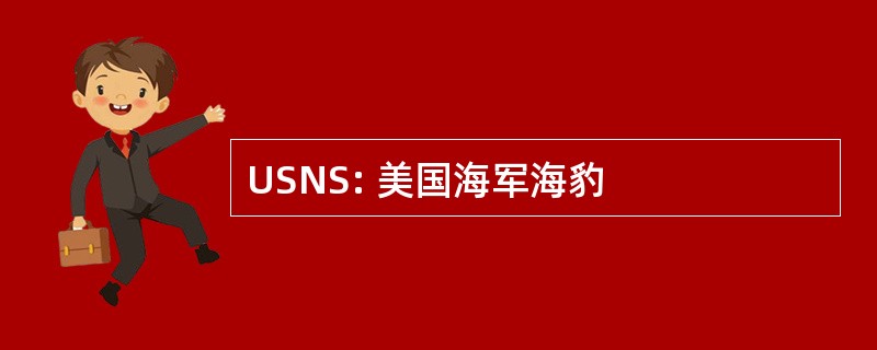 USNS: 美国海军海豹