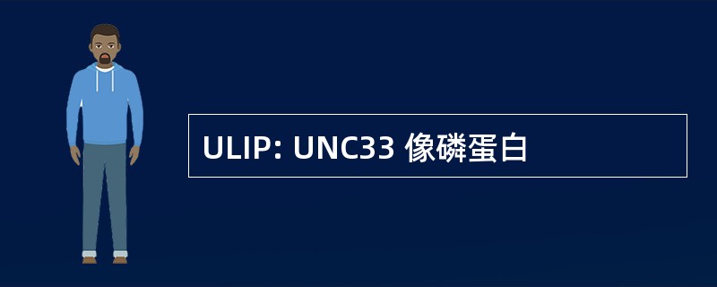 ULIP: UNC33 像磷蛋白