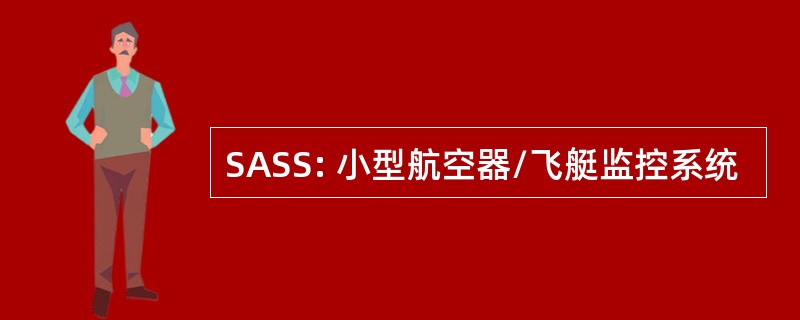 SASS: 小型航空器/飞艇监控系统