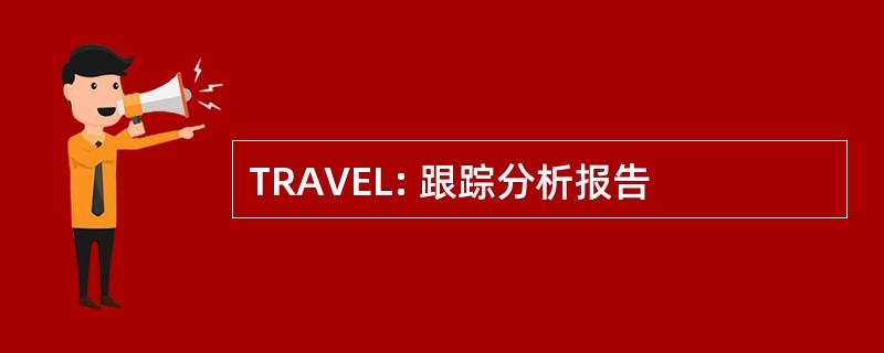 TRAVEL: 跟踪分析报告