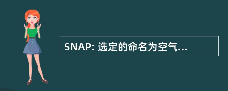 SNAP: 选定的命名为空气污染的来源的