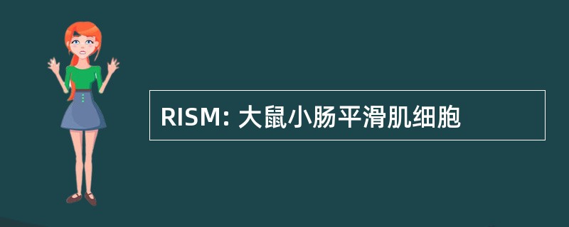 RISM: 大鼠小肠平滑肌细胞