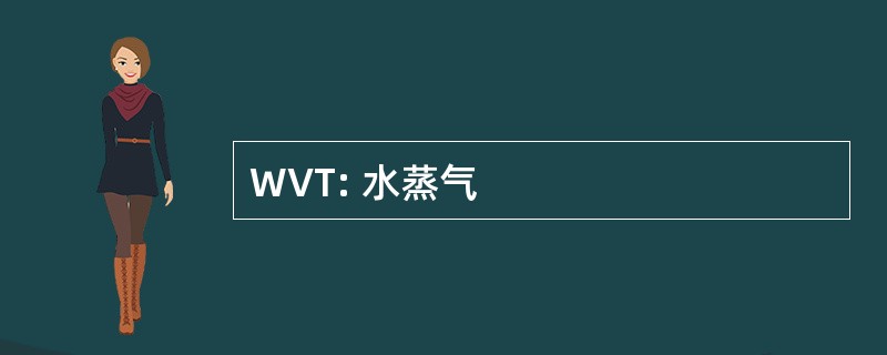 WVT: 水蒸气