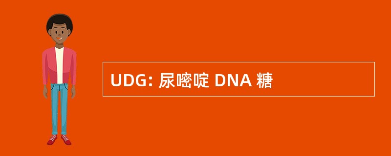 UDG: 尿嘧啶 DNA 糖