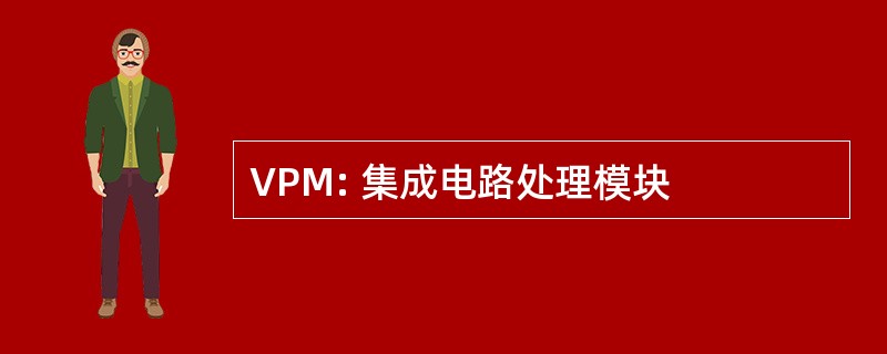 VPM: 集成电路处理模块