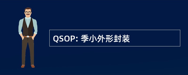 QSOP: 季小外形封装