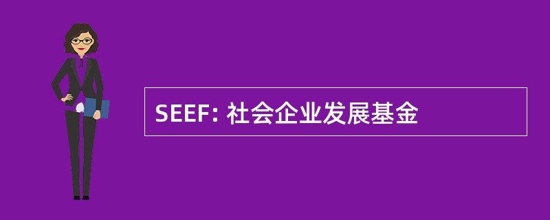 SEEF: 社会企业发展基金