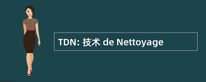 TDN: 技术 de Nettoyage