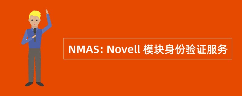 NMAS: Novell 模块身份验证服务