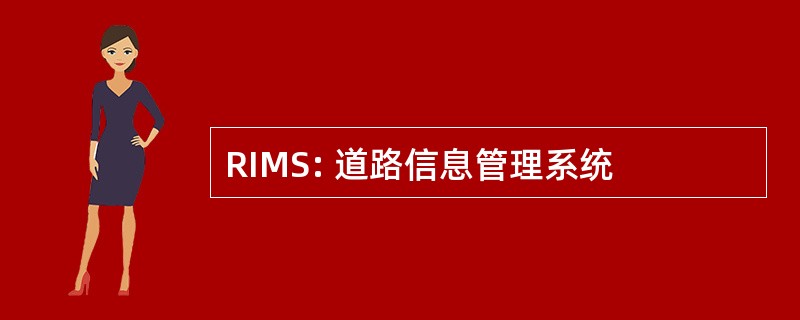 RIMS: 道路信息管理系统