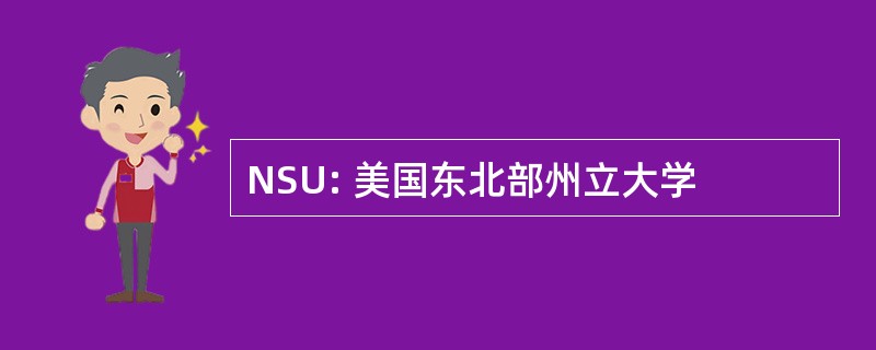 NSU: 美国东北部州立大学