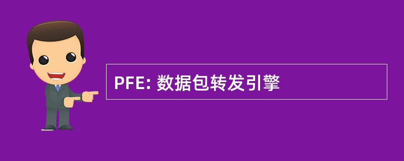 PFE: 数据包转发引擎