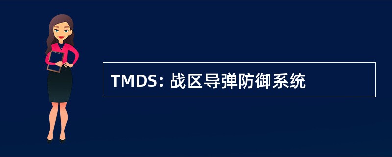 TMDS: 战区导弹防御系统