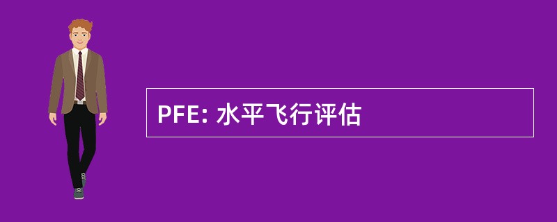 PFE: 水平飞行评估