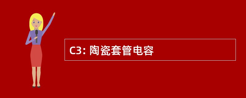 C3: 陶瓷套管电容