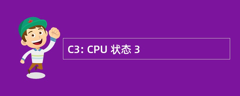 C3: CPU 状态 3