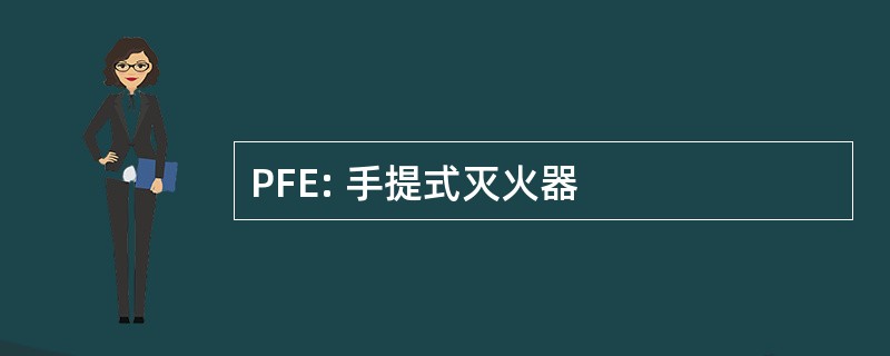 PFE: 手提式灭火器