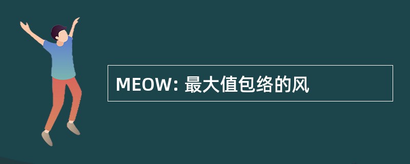 MEOW: 最大值包络的风