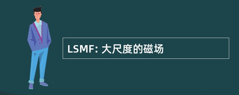 LSMF: 大尺度的磁场