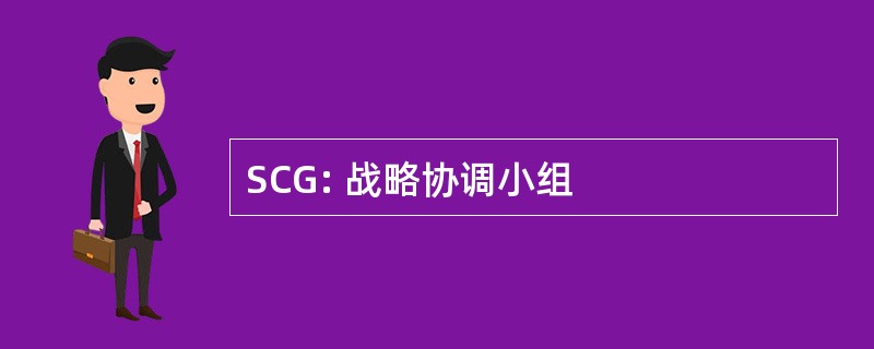 SCG: 战略协调小组