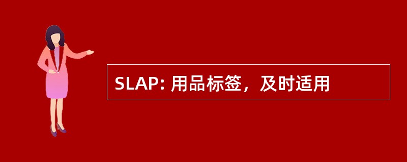 SLAP: 用品标签，及时适用