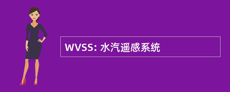 WVSS: 水汽遥感系统