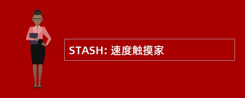 STASH: 速度触摸家