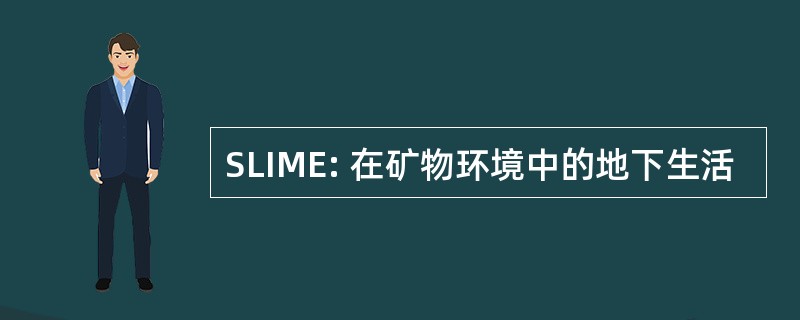 SLIME: 在矿物环境中的地下生活