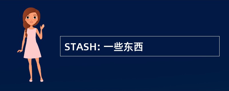 STASH: 一些东西