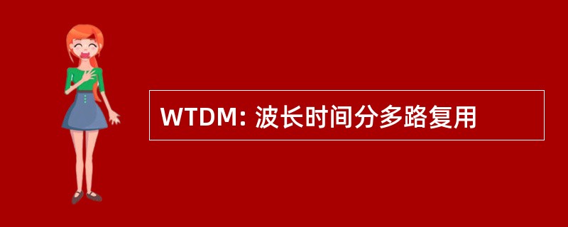 WTDM: 波长时间分多路复用