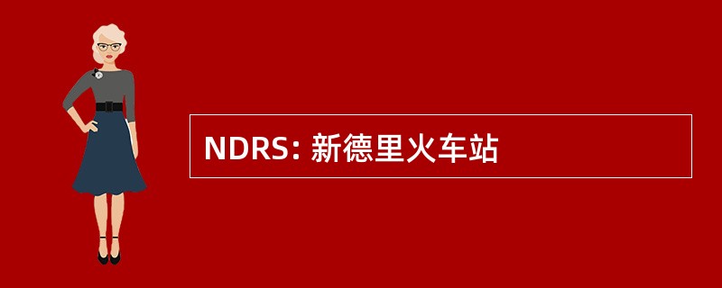 NDRS: 新德里火车站