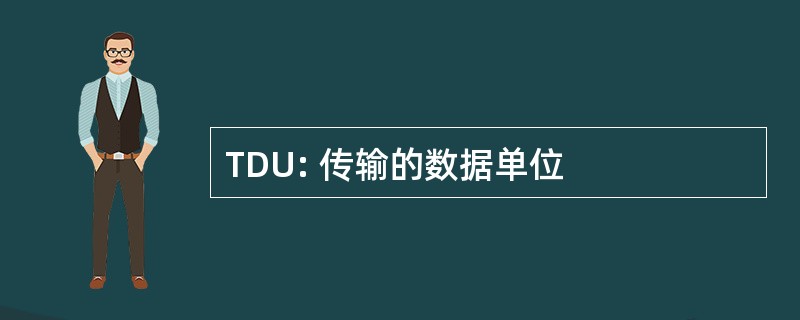 TDU: 传输的数据单位