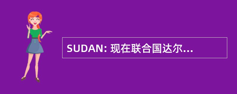 SUDAN: 现在联合国达尔富尔意识的学生