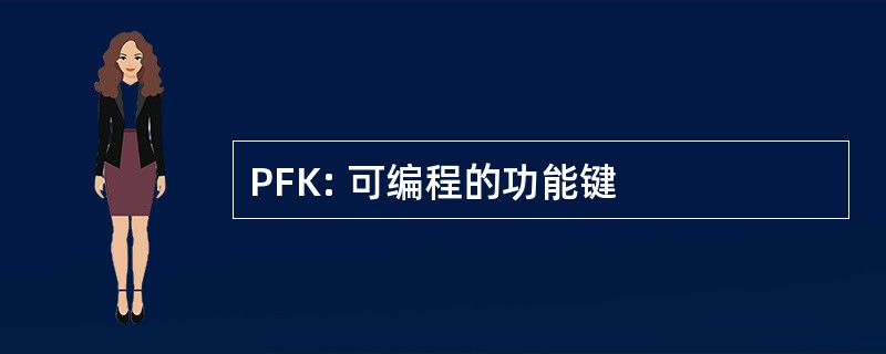 PFK: 可编程的功能键