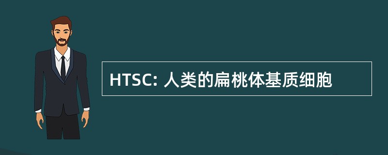 HTSC: 人类的扁桃体基质细胞