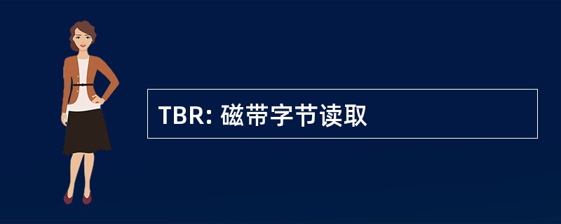 TBR: 磁带字节读取