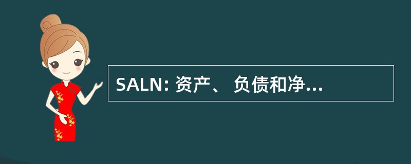 SALN: 资产、 负债和净资产的声明