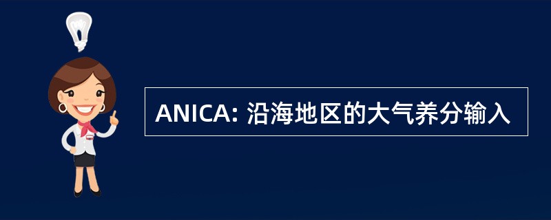 ANICA: 沿海地区的大气养分输入