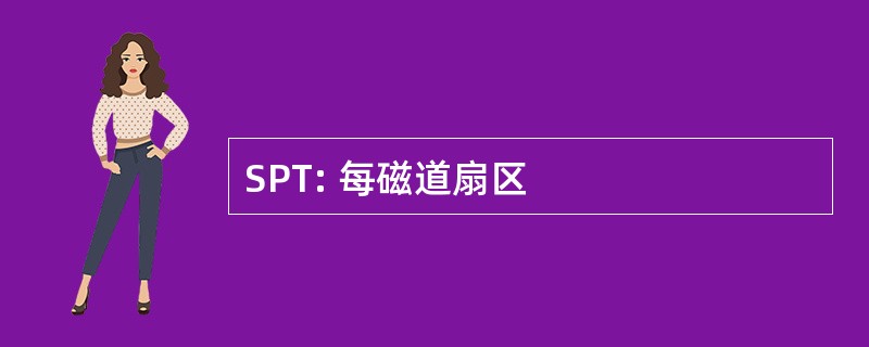 SPT: 每磁道扇区