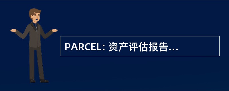 PARCEL: 资产评估报告，以集中和评估责任