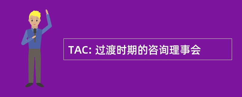 TAC: 过渡时期的咨询理事会