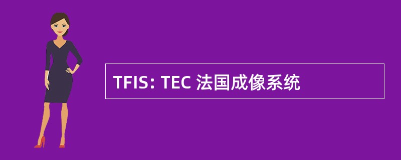 TFIS: TEC 法国成像系统