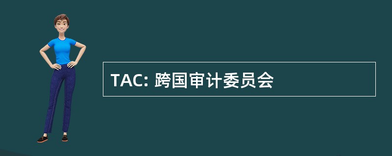 TAC: 跨国审计委员会