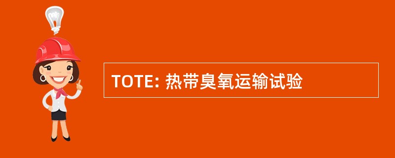 TOTE: 热带臭氧运输试验