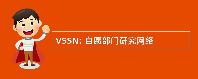 VSSN: 自愿部门研究网络