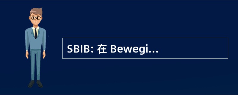 SBIB: 在 Beweging Stichting 列夫关节病