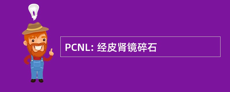 PCNL: 经皮肾镜碎石