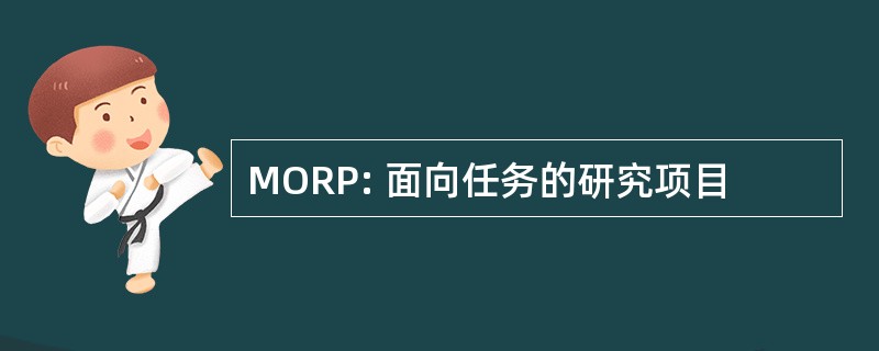 MORP: 面向任务的研究项目