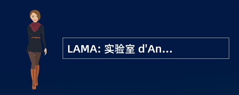 LAMA: 实验室 d&#039;Analyse des Materiaux Actifs